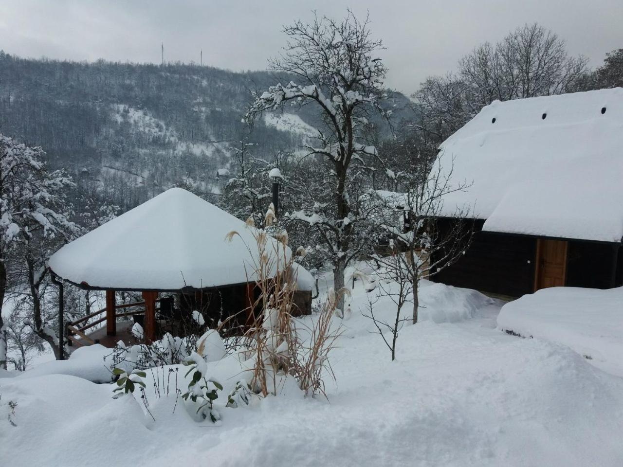Vacation Home Nana Μόκρα Γκόρα Εξωτερικό φωτογραφία